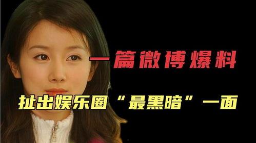娱乐圈爆料哪个没有黑料,揭秘无黑料明星的神秘魅力