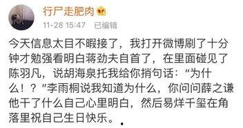 路人甲吃瓜指南全文免费阅,揭秘娱乐圈幕后真相