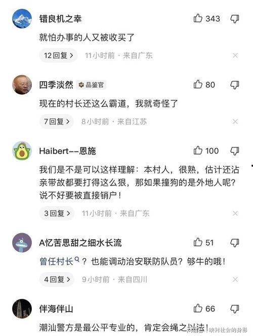 爆料被撞博主视频大全下载