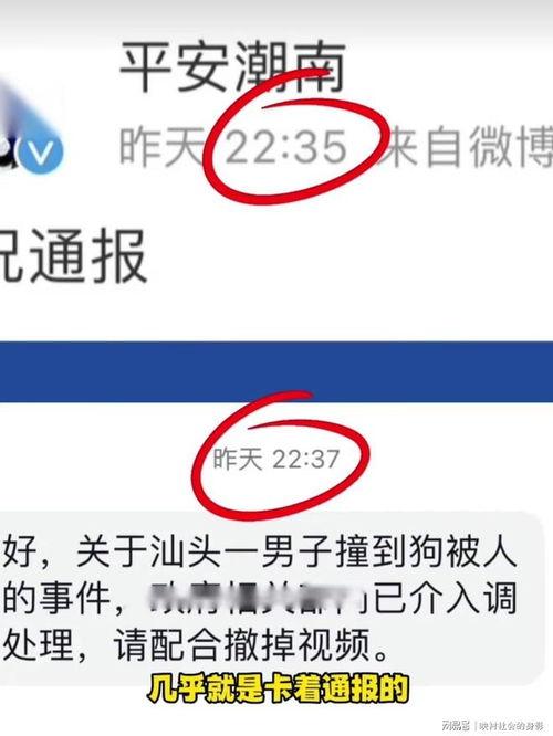爆料被撞博主视频大全下载