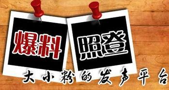 新闻大爆料文案,独家内幕，真相大白！