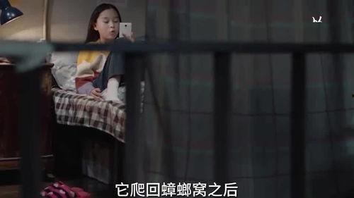 光洙姐姐爆料视频大全最新,揭秘娱乐圈幕后真相