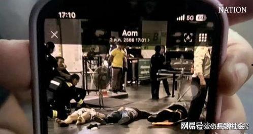 泰国游客爆料事件最新消息,最新进展揭秘，真相逐渐浮出水面