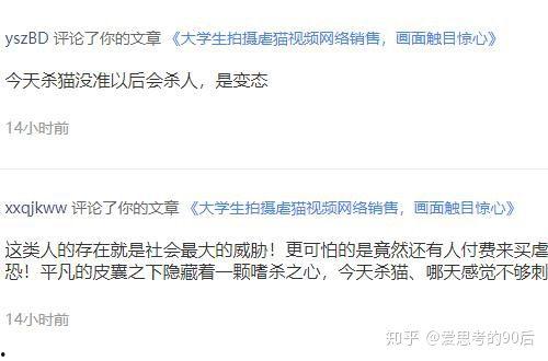 网络最新爆料视频大全,视频大全背后的惊人真相
