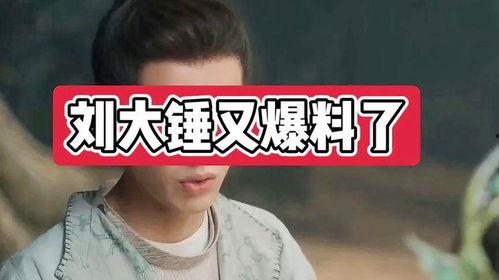 刘大锤的爆料真假视频,揭秘事件真相背后的真相