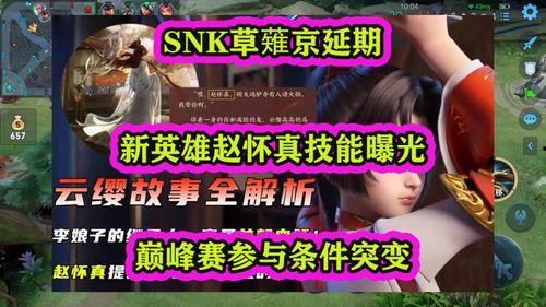 新英雄赵怀真爆料视频,神秘爆料视频曝光，技能与背景故事大揭秘
