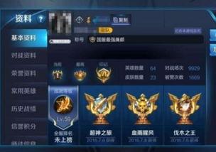 典伟最新皮肤爆料,炫酷特效，神秘背景故事揭秘