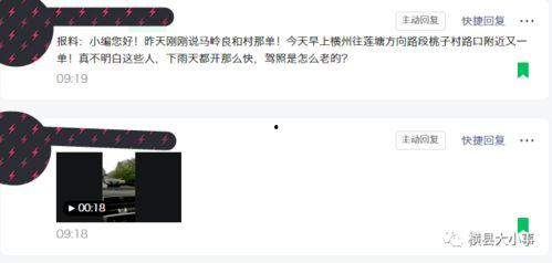 爆料的视频在哪里看到的,爆料的视频来源及背后故事
