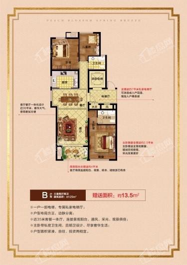 信阳桃李春风最新爆料