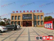 信阳桃李春风最新爆料