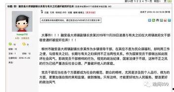 11月高招最新爆料新闻,揭秘热门专业录取趋势与招生政策调整”