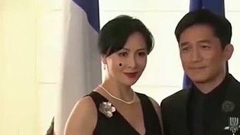 娱乐八卦爆料点,明星背后的惊人真相