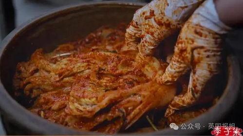 四川酸菜的爆料视频下载,独家爆料视频深度解析