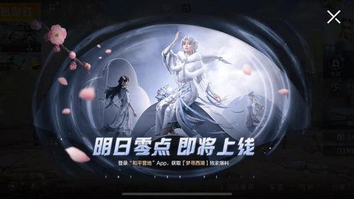 新皮肤男款爆料视频,炫酷造型，引领潮流风尚