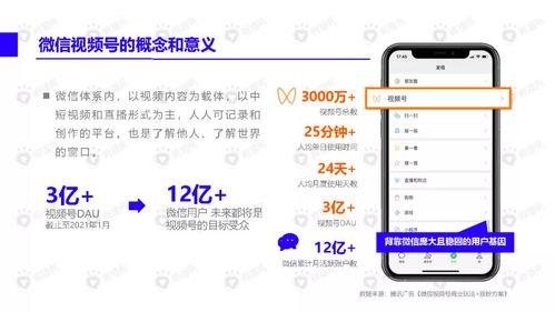 曾毅儿子爆料视频播放下载,独家揭秘幕后真相，播放下载量惊人