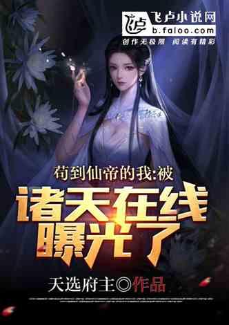 爆料小说视频大全,跟随剧情，畅游文字世界