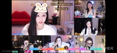 娱乐爆料鱼,明星幕后故事大曝光！