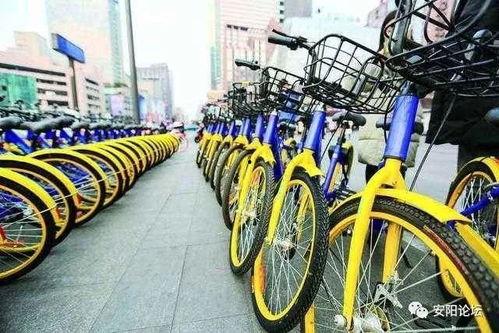 安阳自行车爆料事件最新,真相与反思