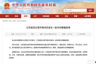 最新江苏热点爆料新闻直播,揭秘XX事件背后的真相与影响