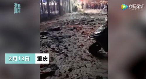 重庆爆炸女孩爆料新闻,揭秘悲剧背后的真相