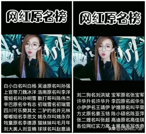 爆料网红套路大全最新版,最新爆料版全方位解析