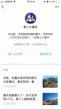 爆料网红套路大全最新版,最新爆料版全方位解析