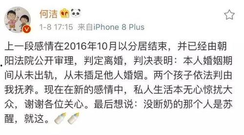 三哥儿子爆料事件视频,揭秘事件背后惊人真相