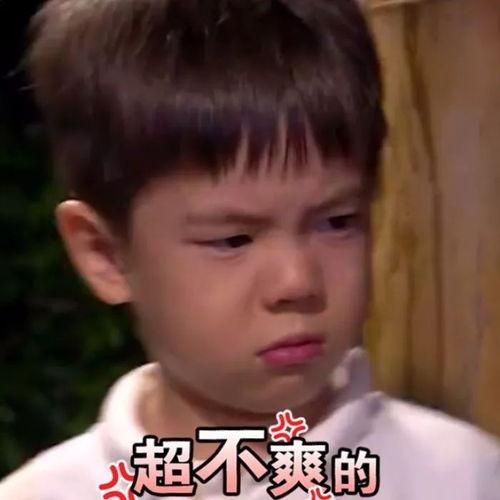 三哥儿子爆料事件视频,揭秘事件背后惊人真相