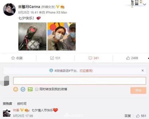 娱乐大爆料林峯在线观看,独家在线观看，揭秘明星幕后故事